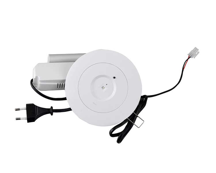 D40-R-2 LED-ul LED-ului de urgență de urgență