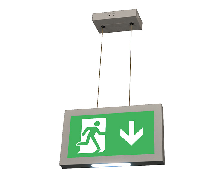 Cord LE2915-B Suspendat tavan Suspension Moned Ieșire